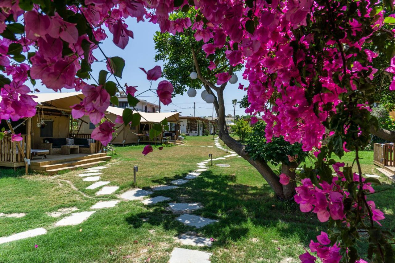 Logos Beach Village Theológos Exterior foto